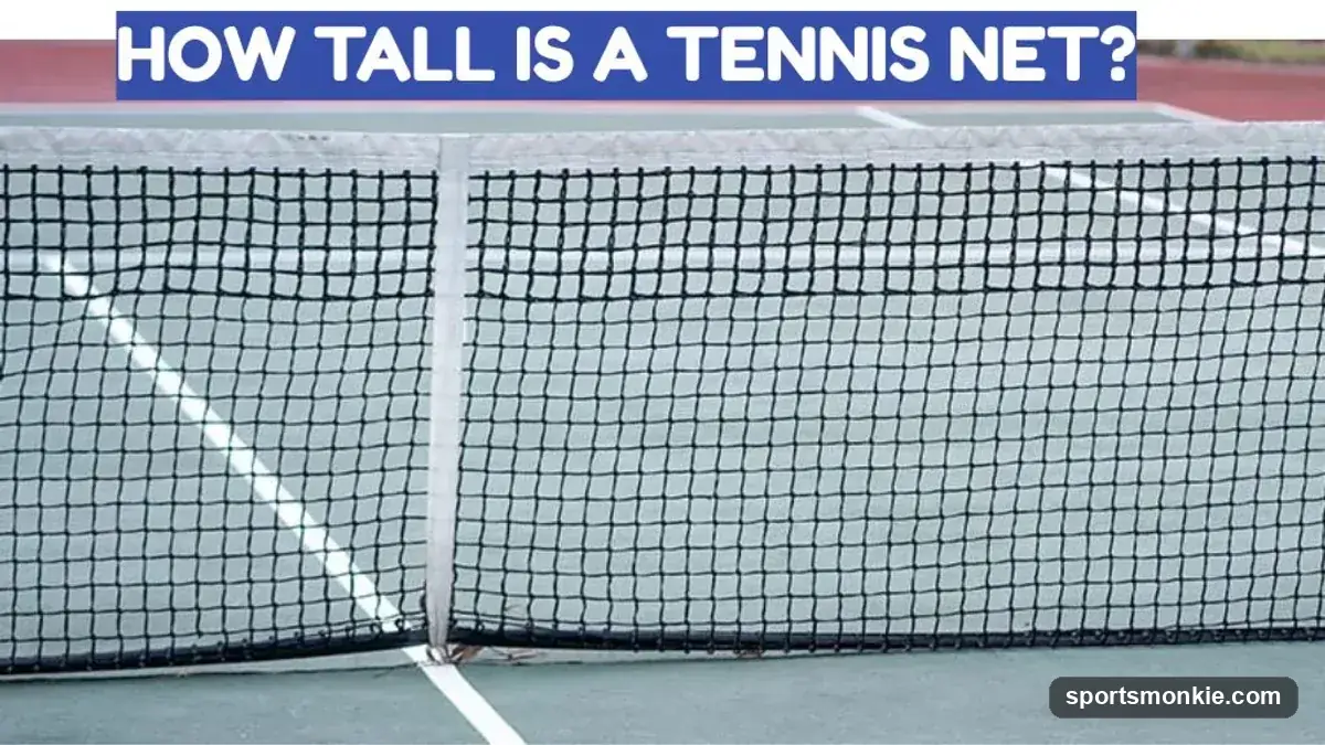 How Tall Is a Tennis Net? Official Height and Dimensions