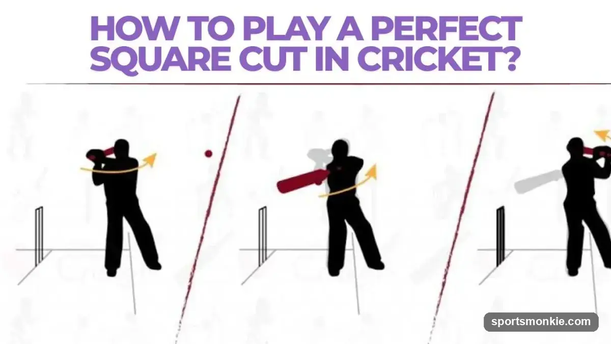 How to Play a Perfect Square Cut in Cricket: Step-by-Step