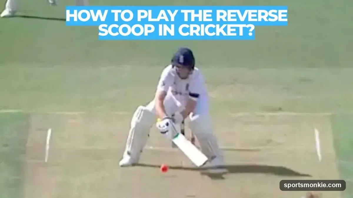 How to Play the Reverse Scoop in Cricket: Full Technique Guide