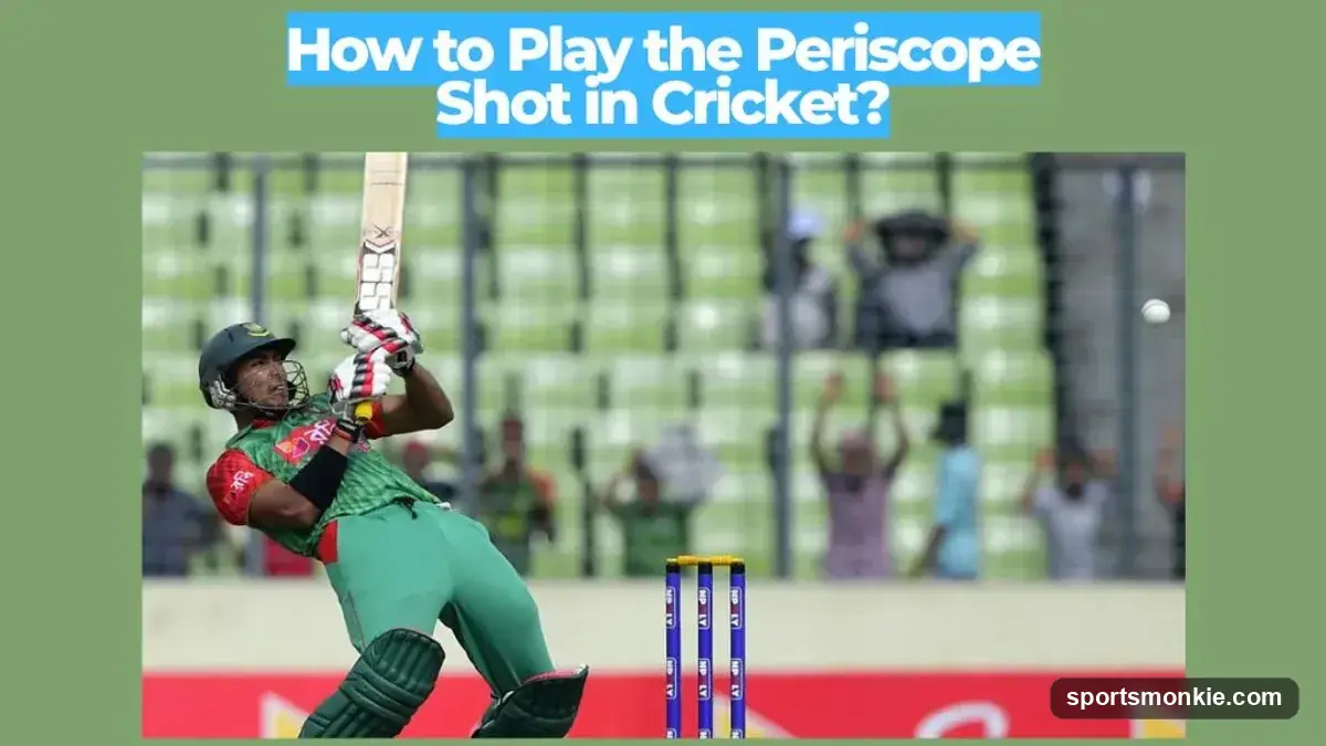 How to Play the Periscope Shot in Cricket