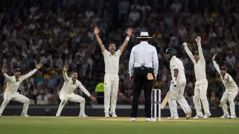 Appealing in Cricket: What It Is and How It Works