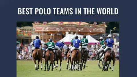 Best Polo Teams in the World: Top Squads Ranked