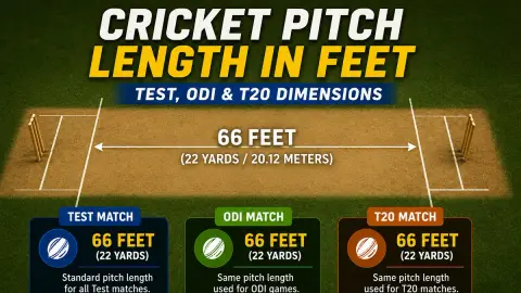 Cricket Pitch Length in Feet: Test, ODI & T20 Dimensions