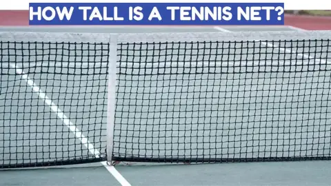 How Tall Is a Tennis Net? Official Height and Dimensions