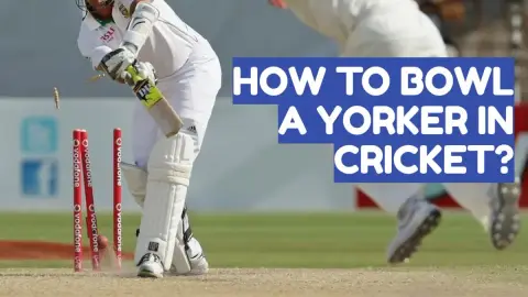 How to Bowl a Yorker in Cricket: Step-by-Step Guide
