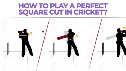 How to Play a Perfect Square Cut in Cricket: Step-by-Step