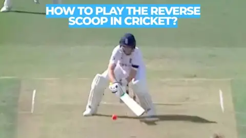 How to Play the Reverse Scoop in Cricket: Full Technique Guide
