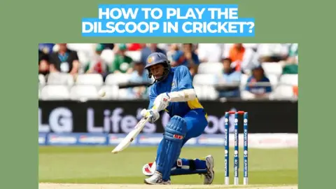 How to Play the Dilscoop in Cricket: Step-by-Step Technique