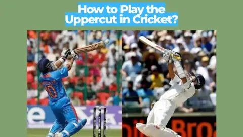 How to Play the Uppercut in Cricket: Shot Guide