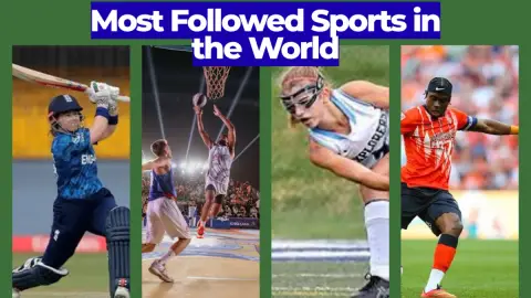Ranked list of the world's most followed sports by estimated global fan base
