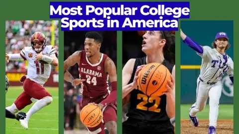 Most Popular College Sports in America: Attendance and Fan Base