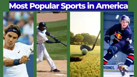 Fans representing the five most popular sports in America