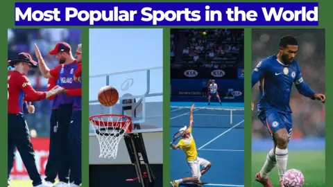 Most Popular Sports in the World: Global Fan Bases Ranked