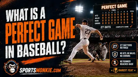 Baseball pitcher on the mound, illustrating a perfect game