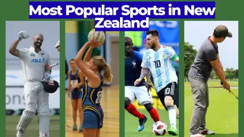 Most Popular Sports in New Zealand: The Definitive List