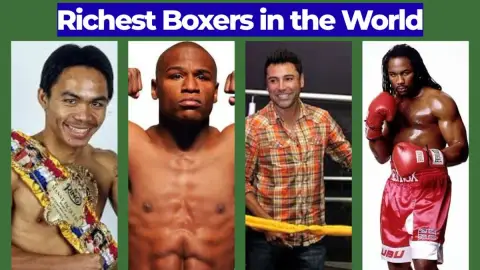 Richest Boxers in the World: Who Earned the Most?