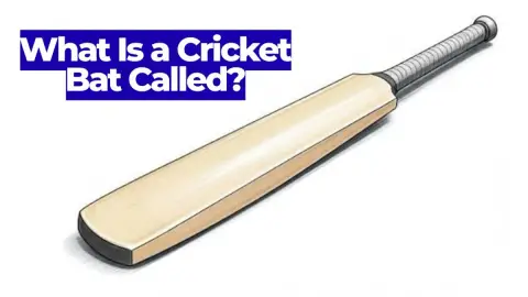 What Is a Cricket Bat Called? Names, Parts, and Rules