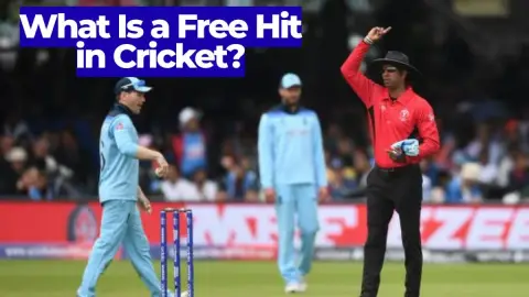 What Is a Free Hit in Cricket? The Rule Explained