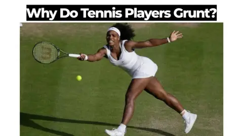 Why Do Tennis Players Grunt? The Science Behind It