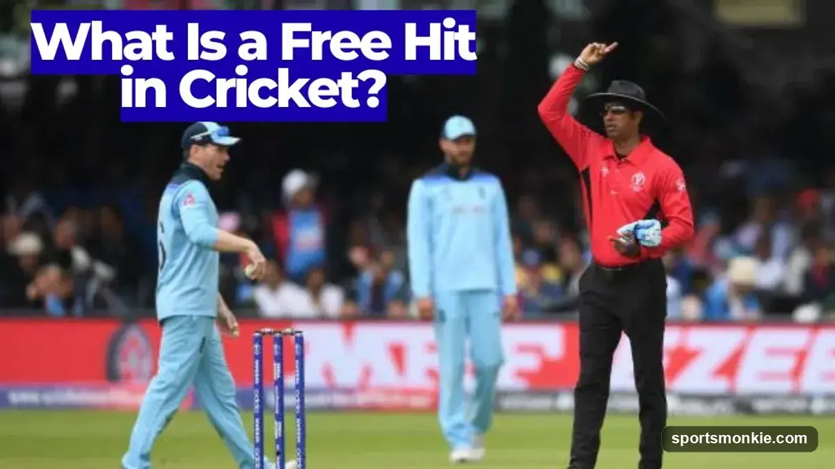What Is a Free Hit in Cricket? The Rule Explained