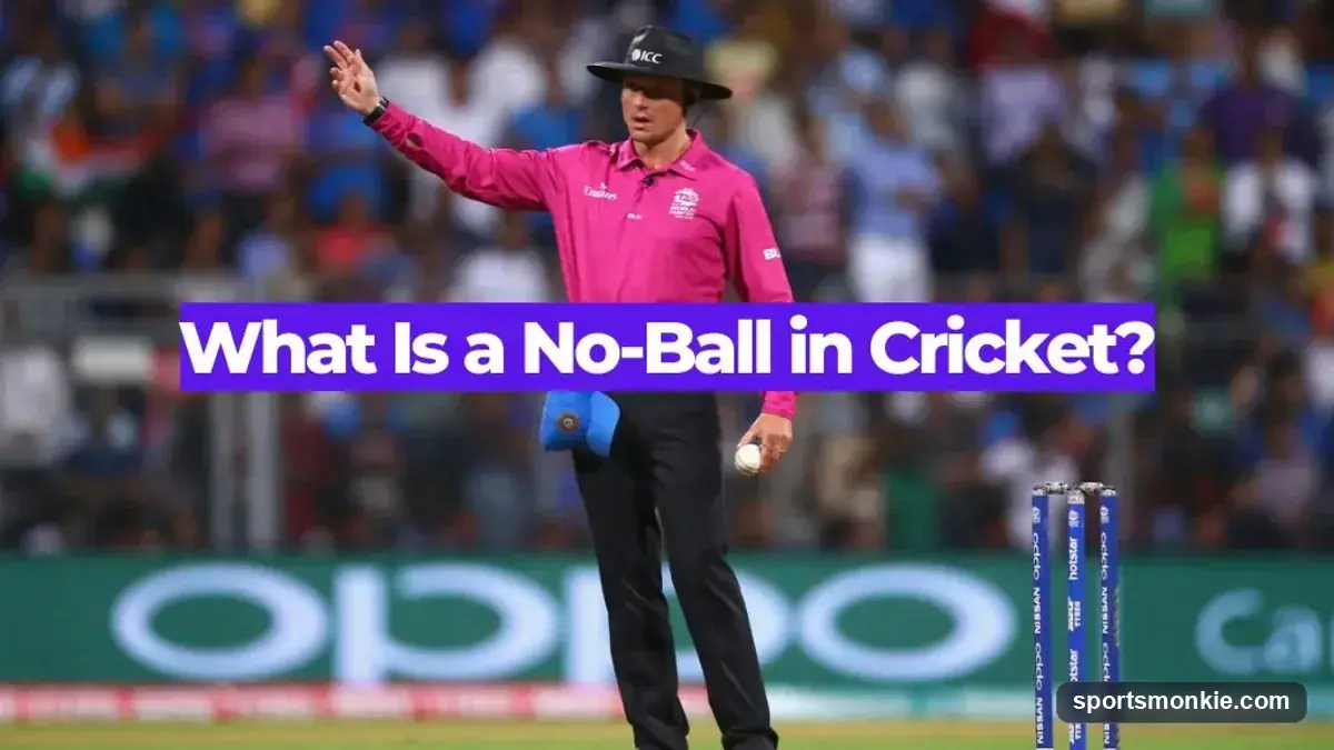 What Is a No-Ball in Cricket? Types, Rules & the Free Hit