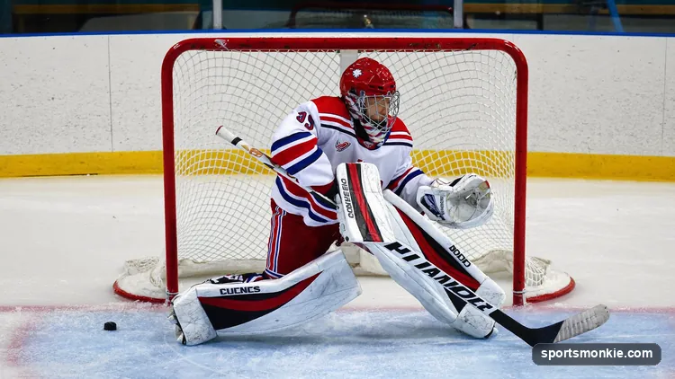 Overhead view of a hockey goal crease, the blue semicircle with red outline in front of the net, with a goaltender set inside it