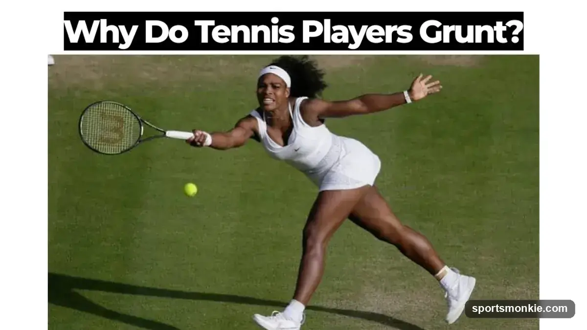 Why Do Tennis Players Grunt? The Science Behind It